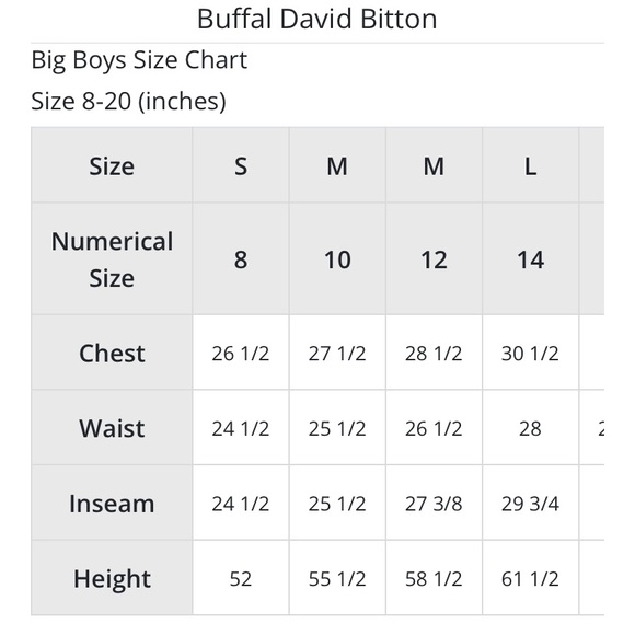 David Bitton Buffalo Short-Sleeve Tee for Boys / Size L - Picture 5 of 5